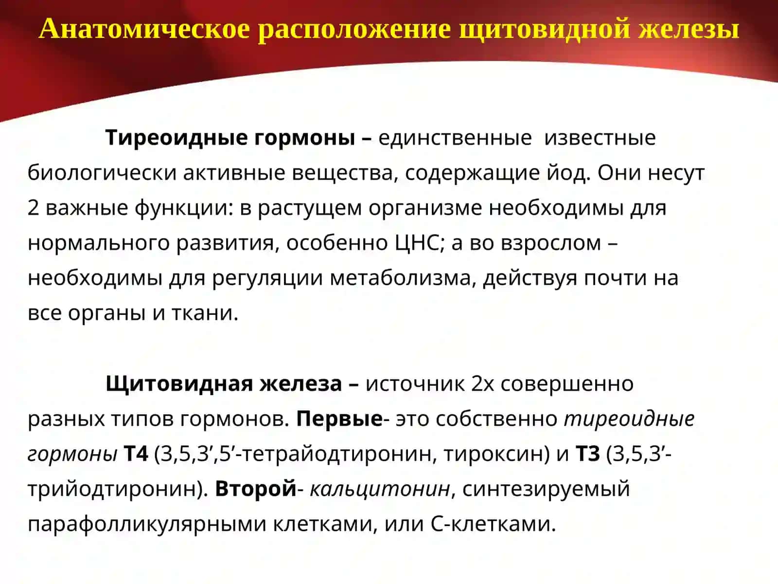 Тиреоидные гормоны 2