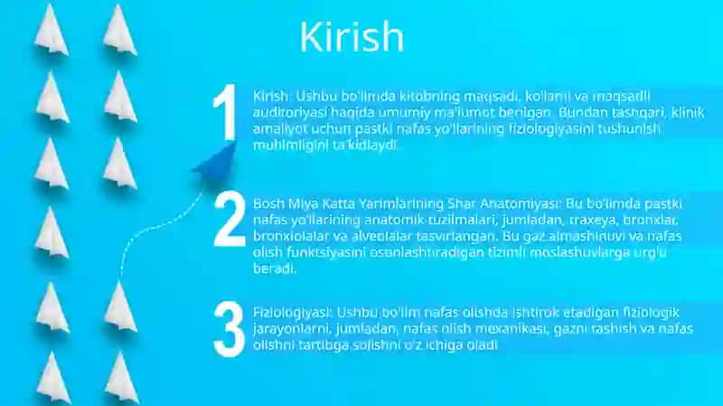 Bosh Miya Katta Yarim Sharlarining Fiziologiyasi 2