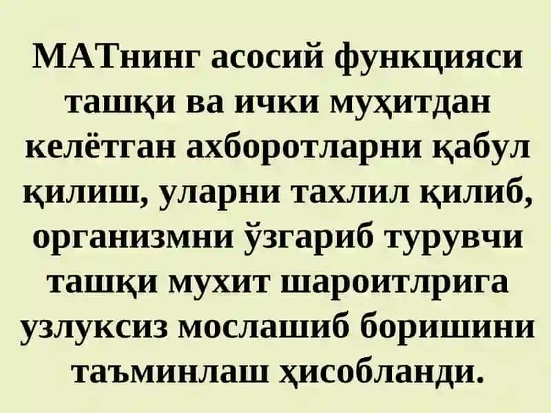 МАТ фаолиятининг рефлектор тамойилари. Асаб марказларнинг хоссалари 2
