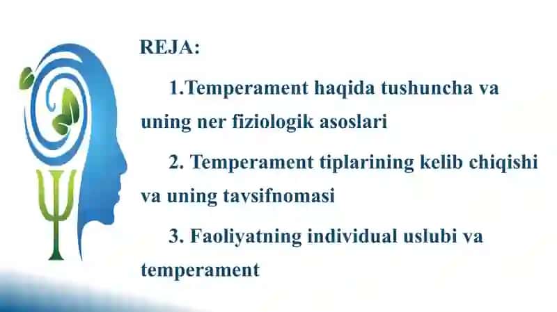 Temperament - shaxs tuzilmasi sifatida 2
