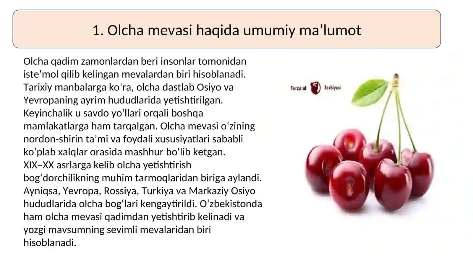 Olcha quritish texnologiyasiga 2