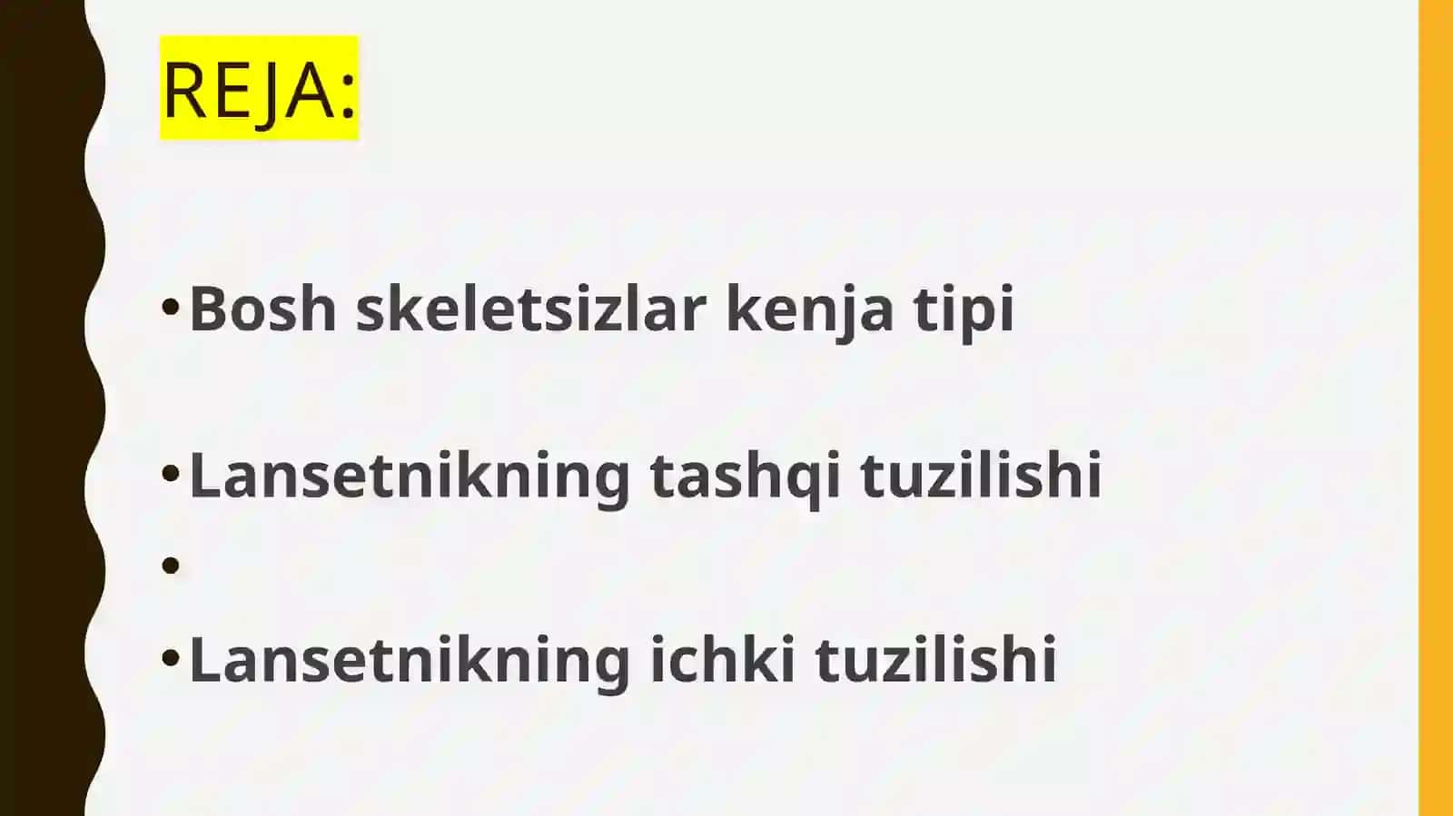 Bosh skeletsizlar kenja tipi 2