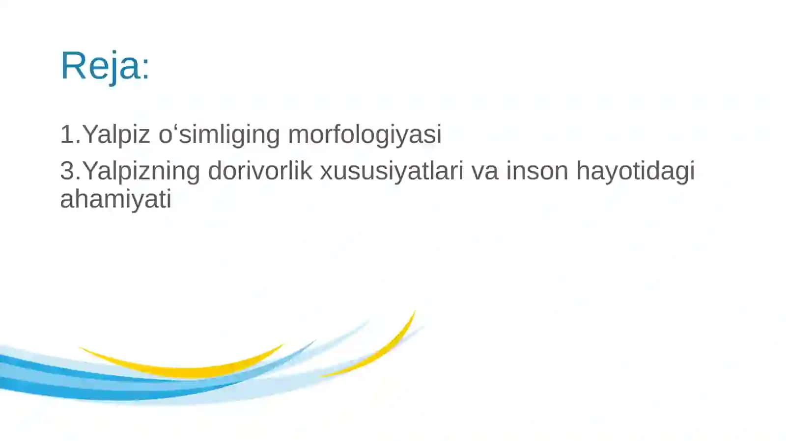 Yalpizning morfologiyasi,ahamiyati va dorivorlik xususiyatlarini oʻrganish 2