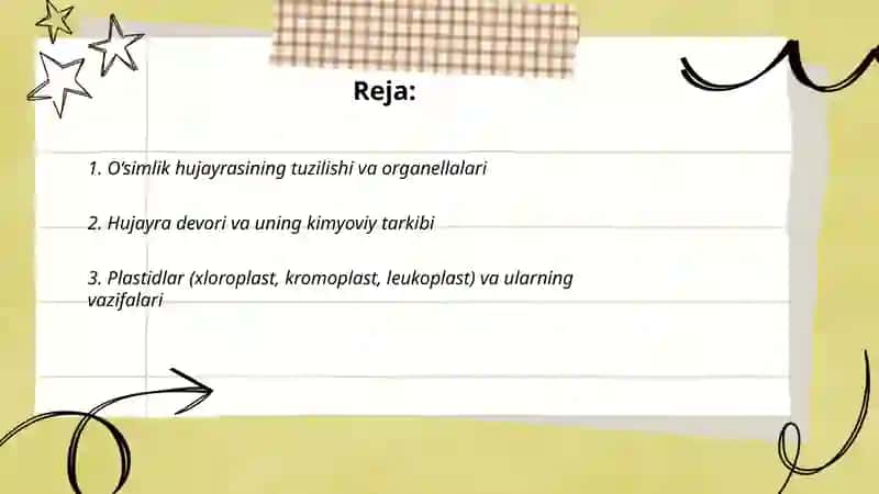 O‘simliklar anotomyasi va fizologiyasi 2