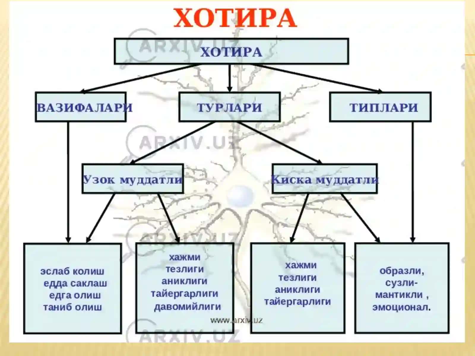 Xotira haqida tushuncha va uning nerv fiziologik asosi 2