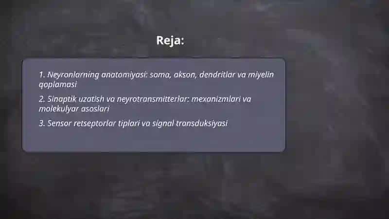Asab sistema sezgi azolari sekretsiya bezlari anatomiyasi va fiziologiyasi 2