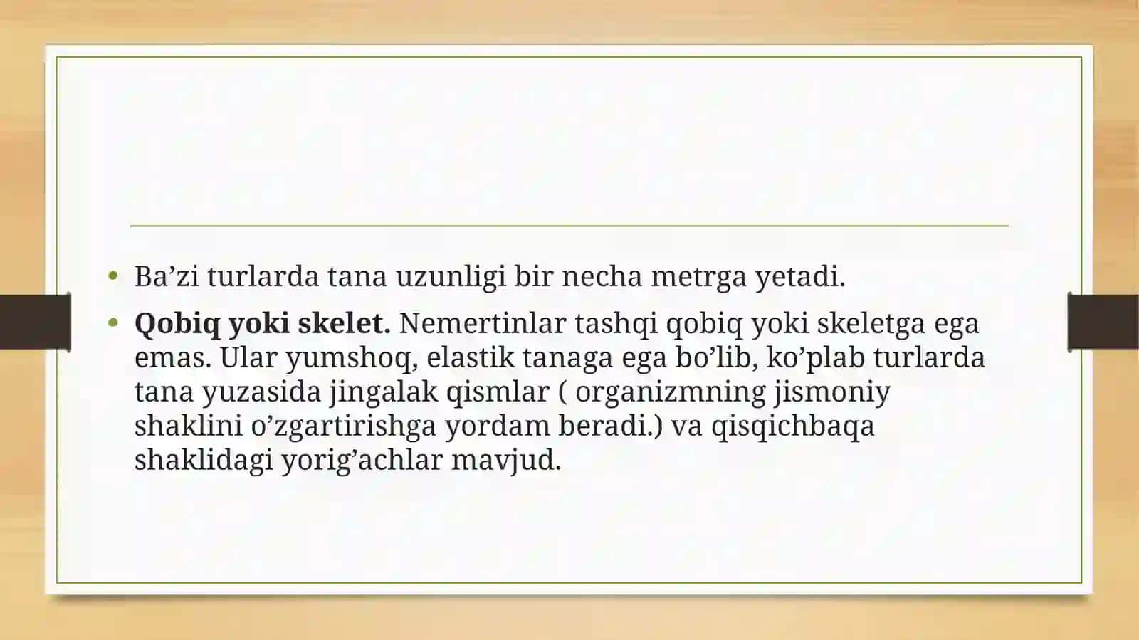 Nemertinlar (Nemertini) tuzilishi va hazm qilishi 2