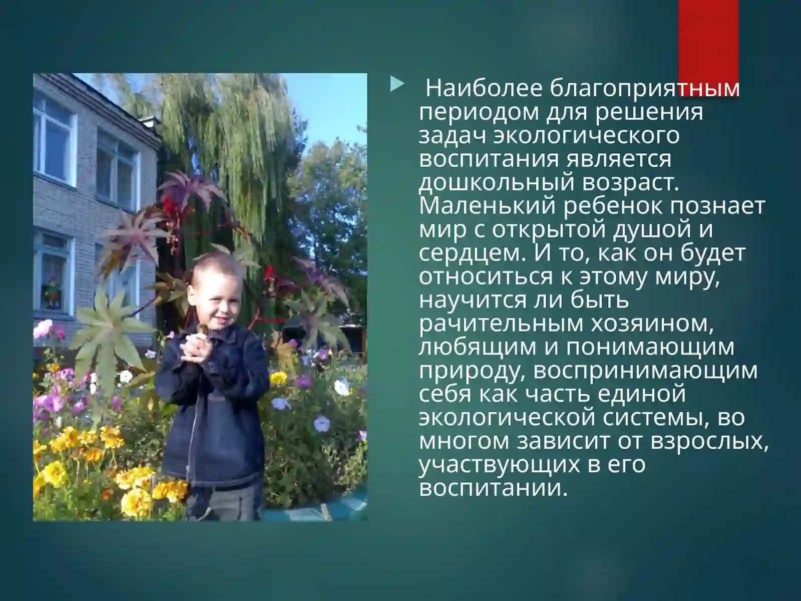 Графические модели и моделирующая деятельность в процессе ознакомления детей с природой 2