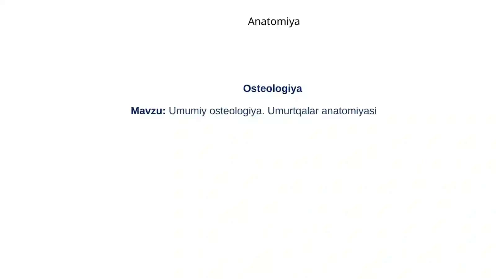 Osteologiya, umurtqa po'g'onasi 2