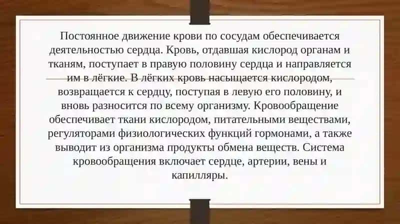 Система кровообращения 2