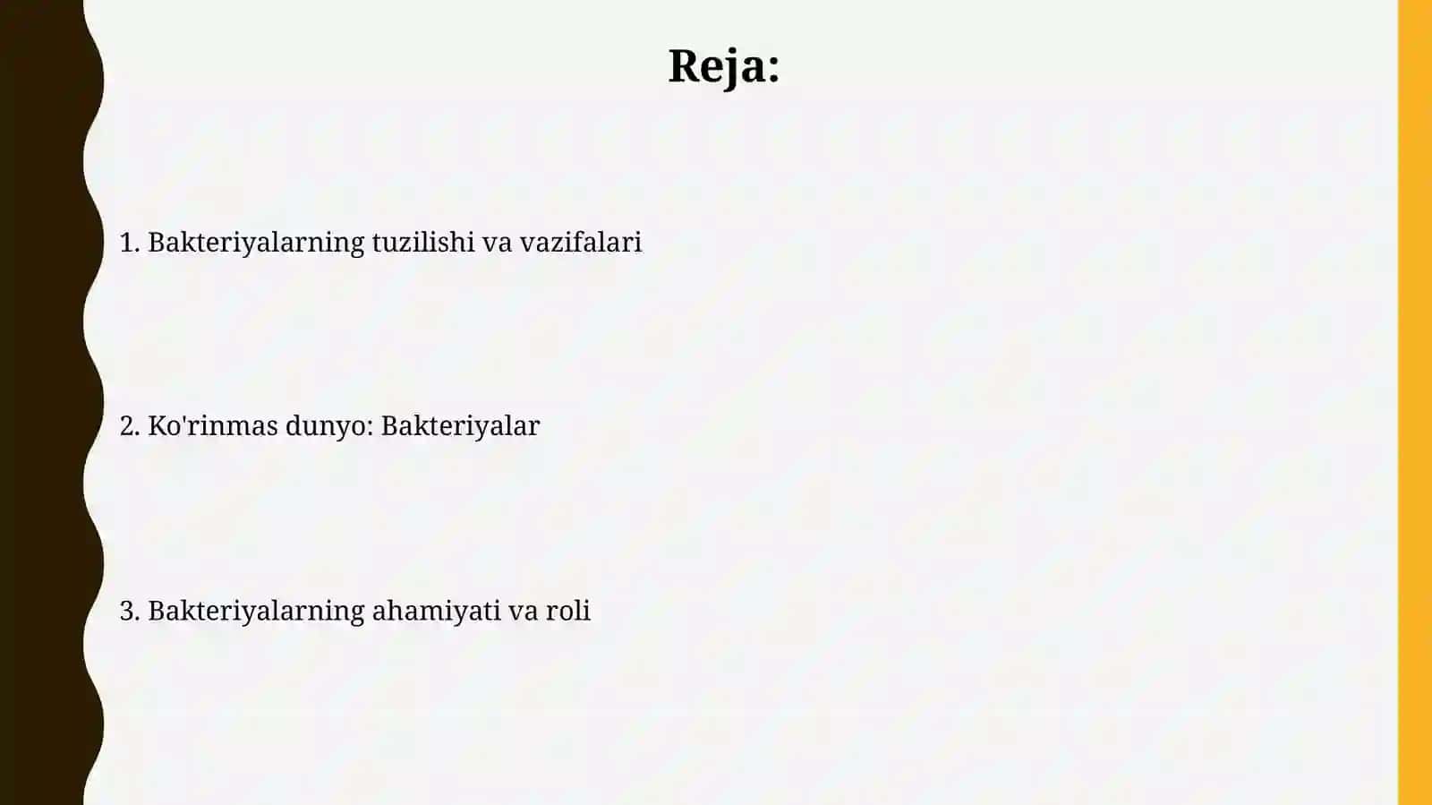 Ko'rinmas olam - Bakteriyalar 2