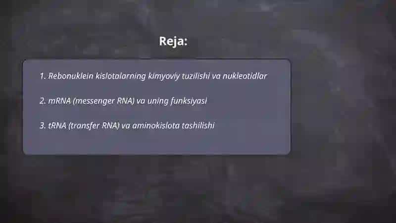 Rebonuklein kislotalar 2