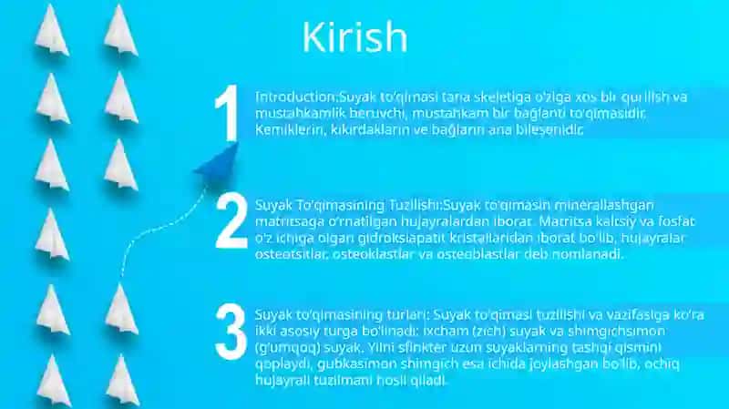 Suyak ToʻQimasi Tuzilishi 2