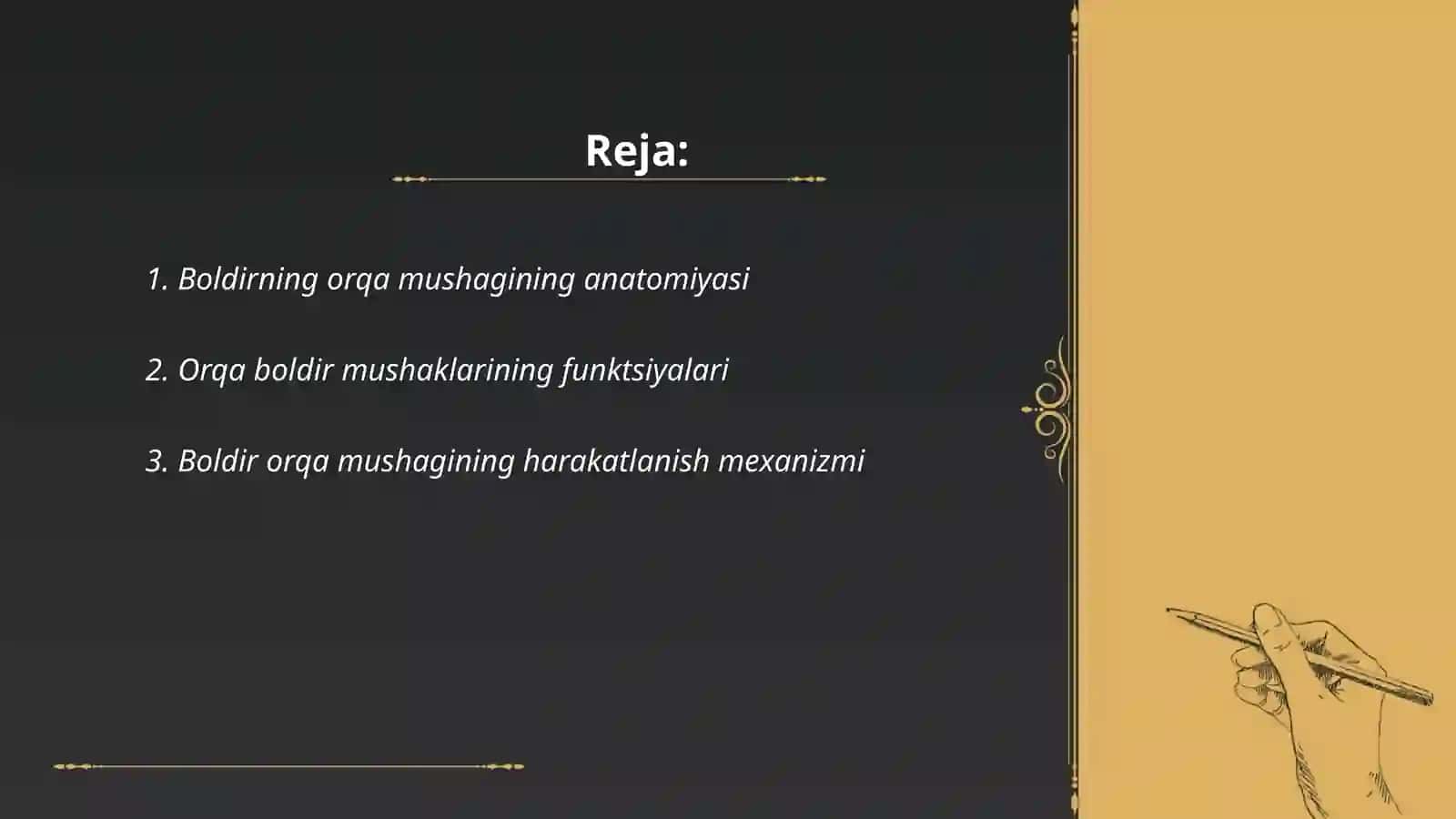 Boldirning orqa mushagi 2