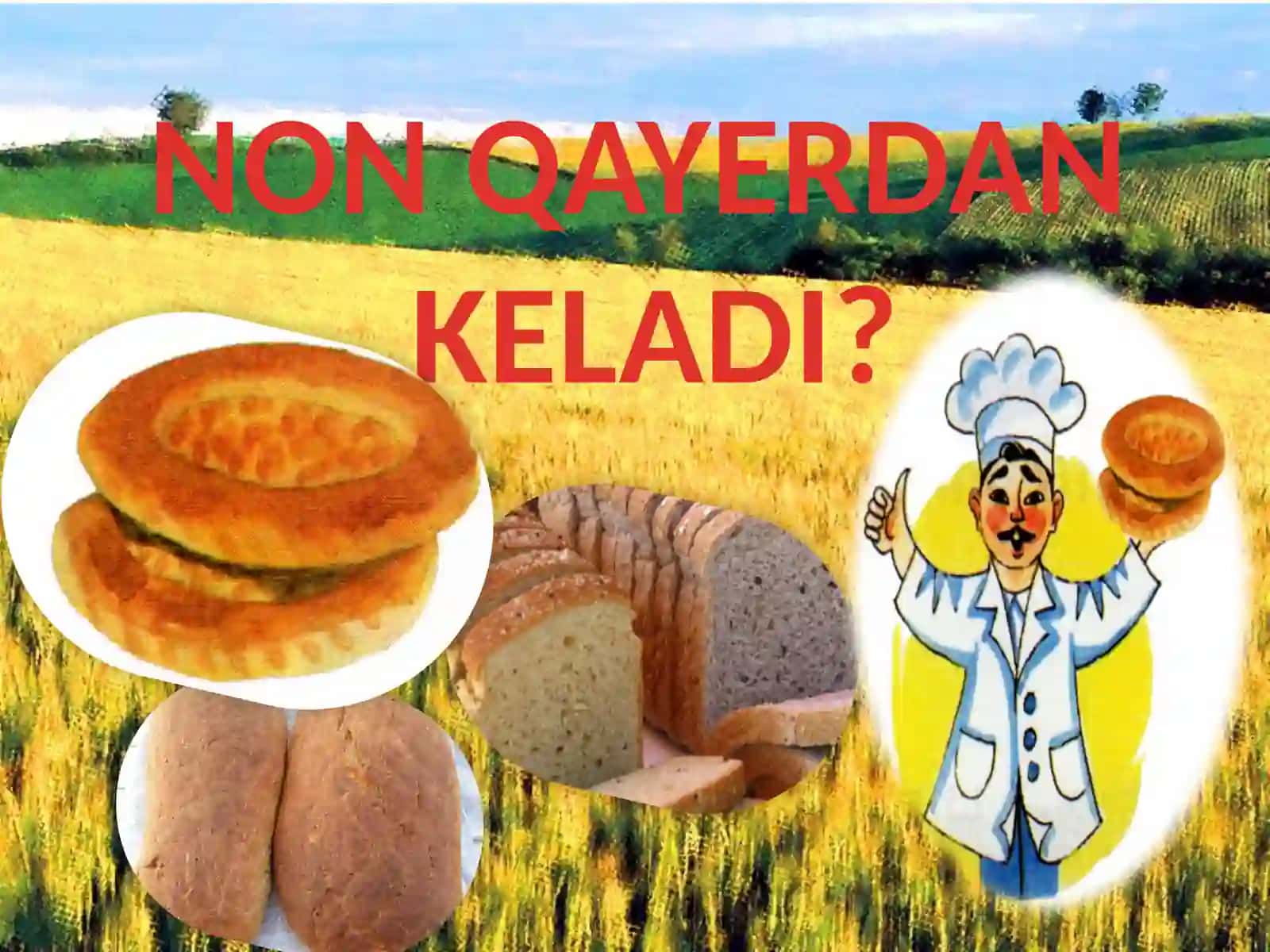DARS ISHLANMASI NON QAYERDAN KELADI? 2