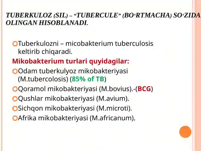 Pathogenesis of Tuberculosis (TB) 2