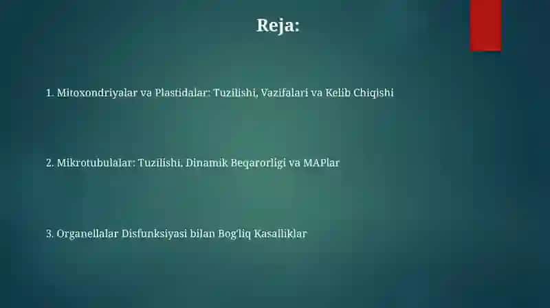 Mitoxondriyalar va Plastidalar: Tuzilishi, Vazifalari va Kelib Chiqishi 2