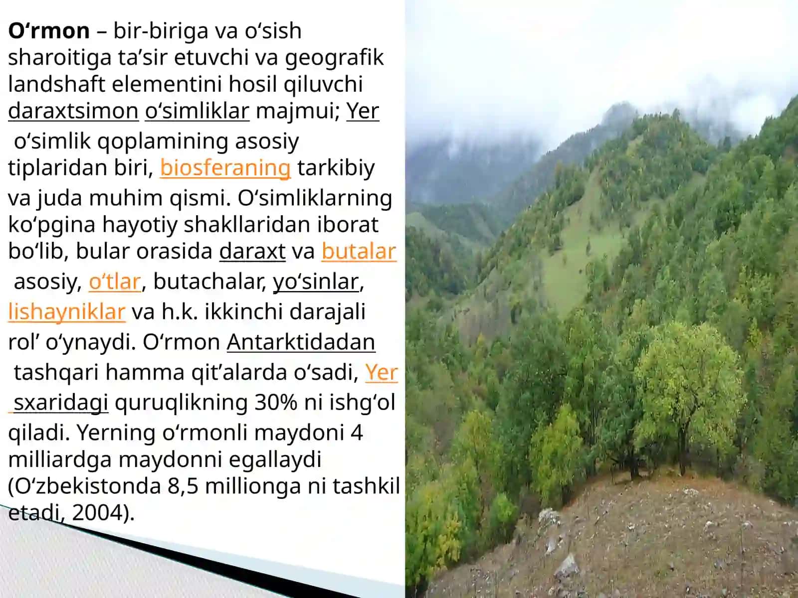 Dorivoro’simliklaryetishtirishvaqaytaishlashyo’nalishi2-22guruhtalabasiBekmirzayevaGulhayoningO’rmonchilikfanidanmustaqilishi 2