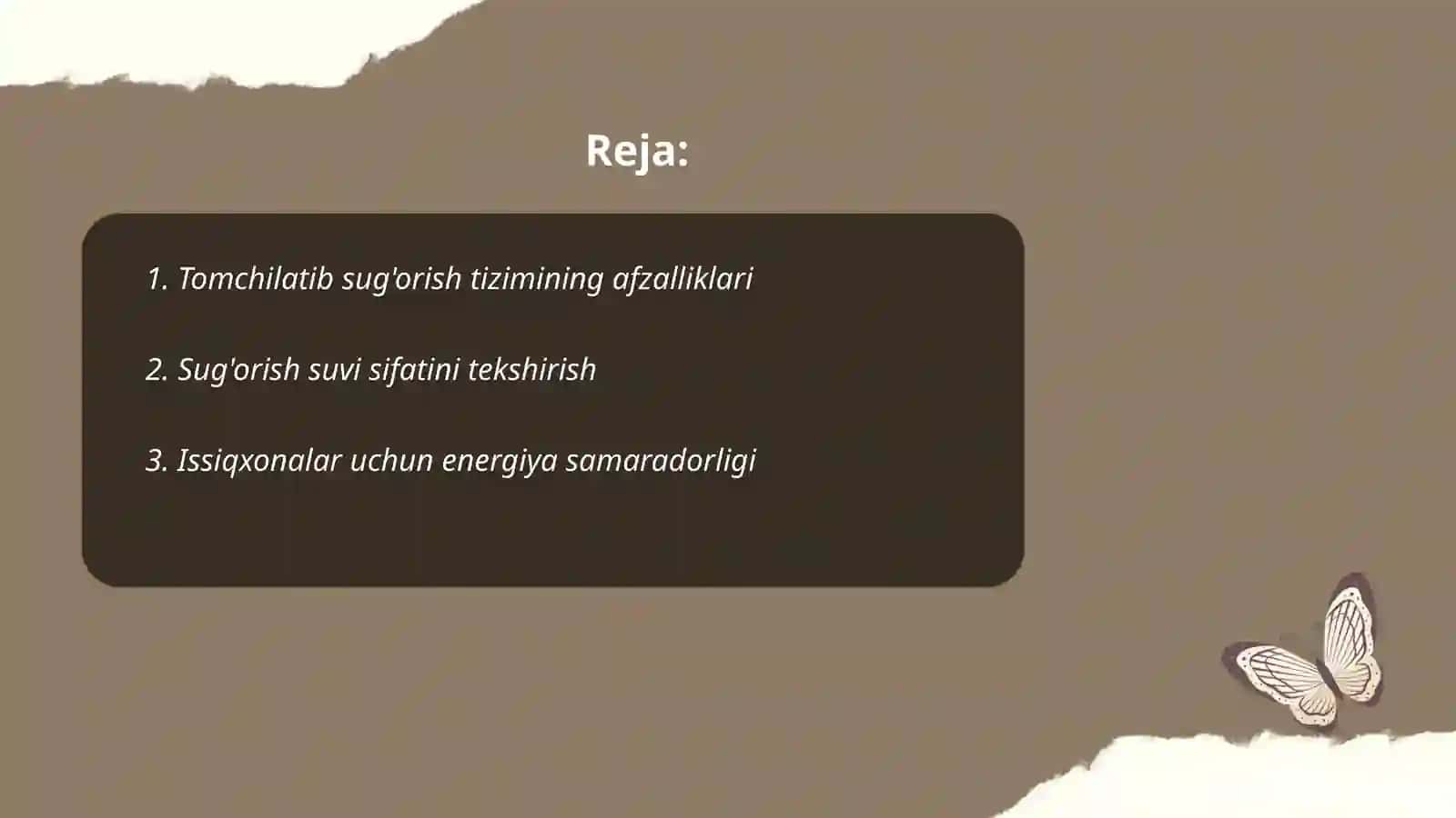 Tomchilatib sug'orish tizimi 2