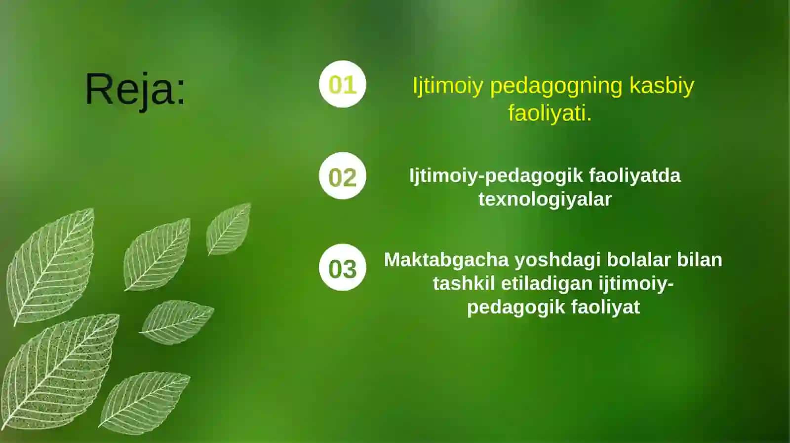 Ijtimoiy pedagogning kasbiy faoliyati 2