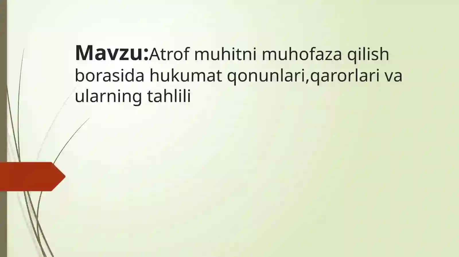 Atrof muhitni muhofaza qilish bo'rasida hukumat qonunlari, qarorlar va ularning tahlili 2
