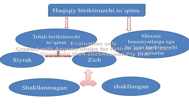 Siyrak va zich biriktiruvchi to‘qimalar, Suyak to’qimasi 2