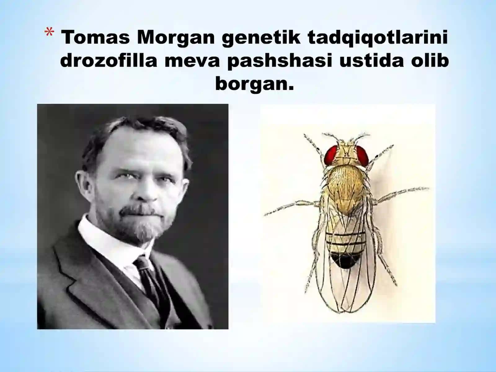 JINSGA BOG‘LIQ HOLDA IRSIYLANISHIDARS TAQDIMOTI 2