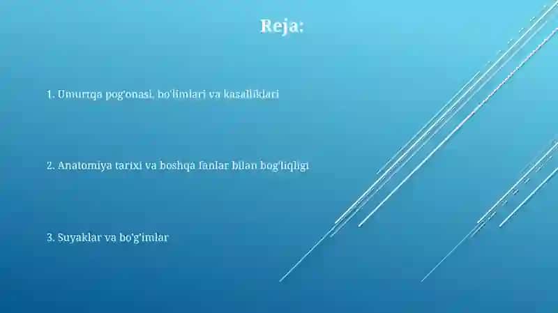 Umurtqa pog'onasi, bo'limlari va kasalliklari 2