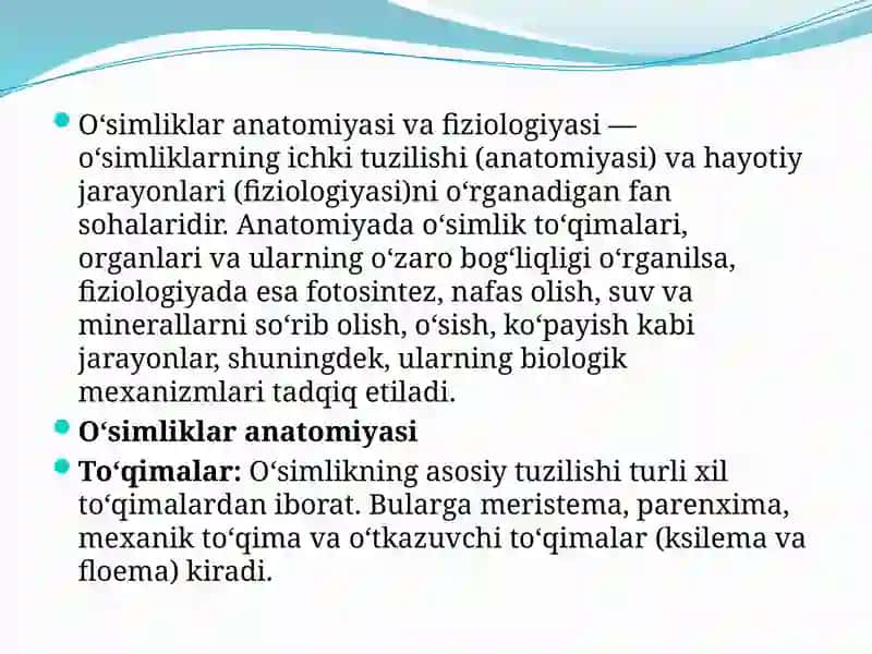 O’simliklar anatomiyasi va fiziologiyasi 2