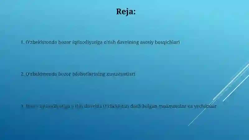 O'zbekistondagi bozor iqtisodiyotiga o'tish davri va uning O'zbekistondagi xususiyatlari 2