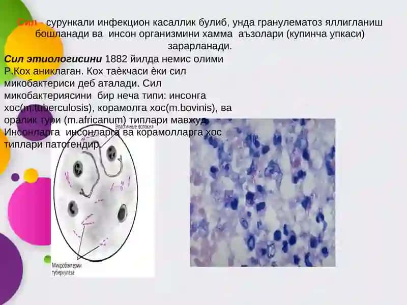 Силни олинолиш учун тадбирлар ўтказиш 2