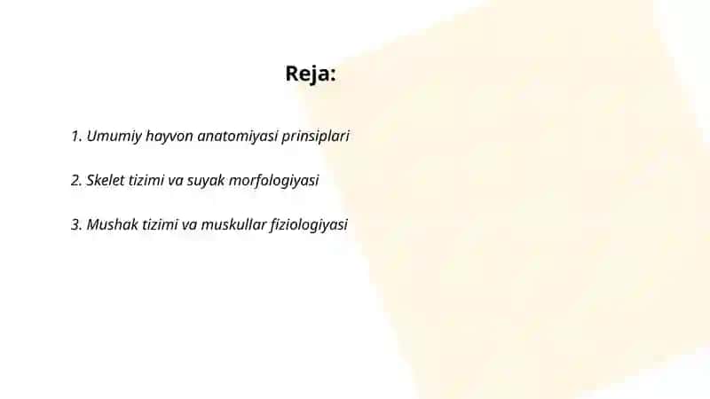 Hayvonlar anatomiyasi va fiziologiyasi 2