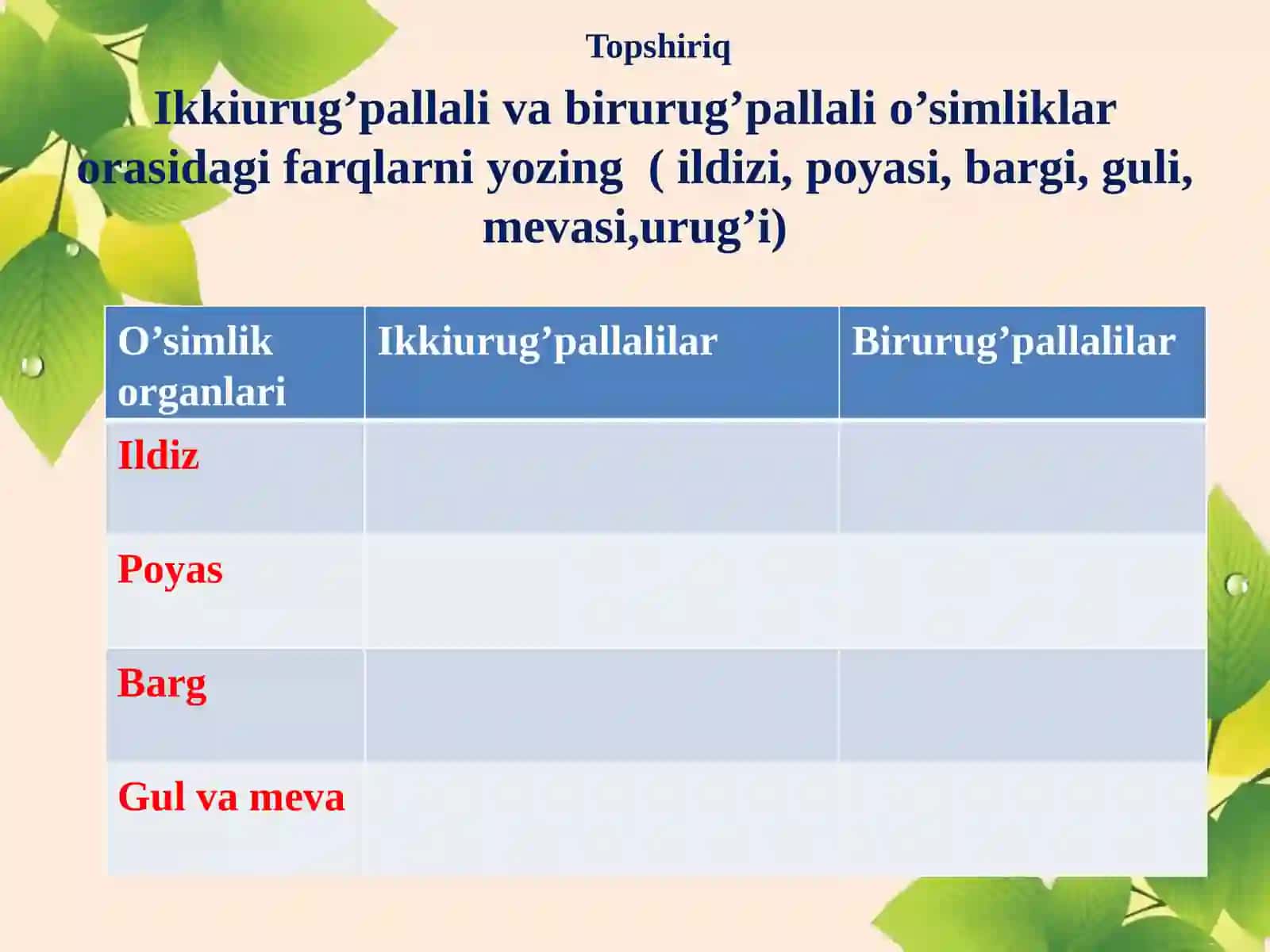 O’simlik Organlari 2