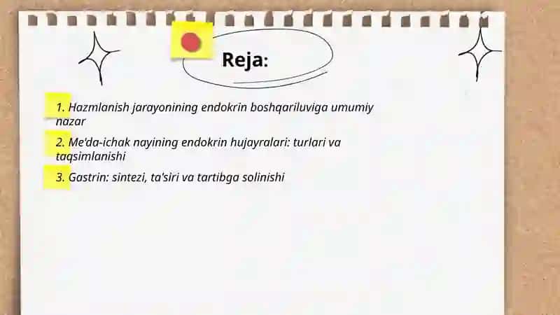 Hazmlanish jarayonining endokren boshqariluvi 2