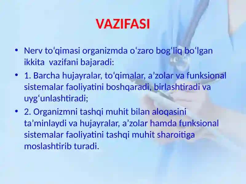 NERV TO’QIMASI 2