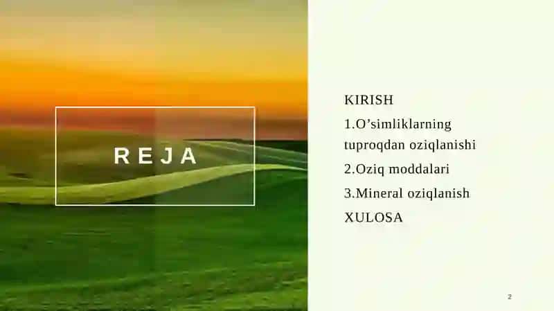 Oʻsimliklarning tuproqdan oziqlanishi 2