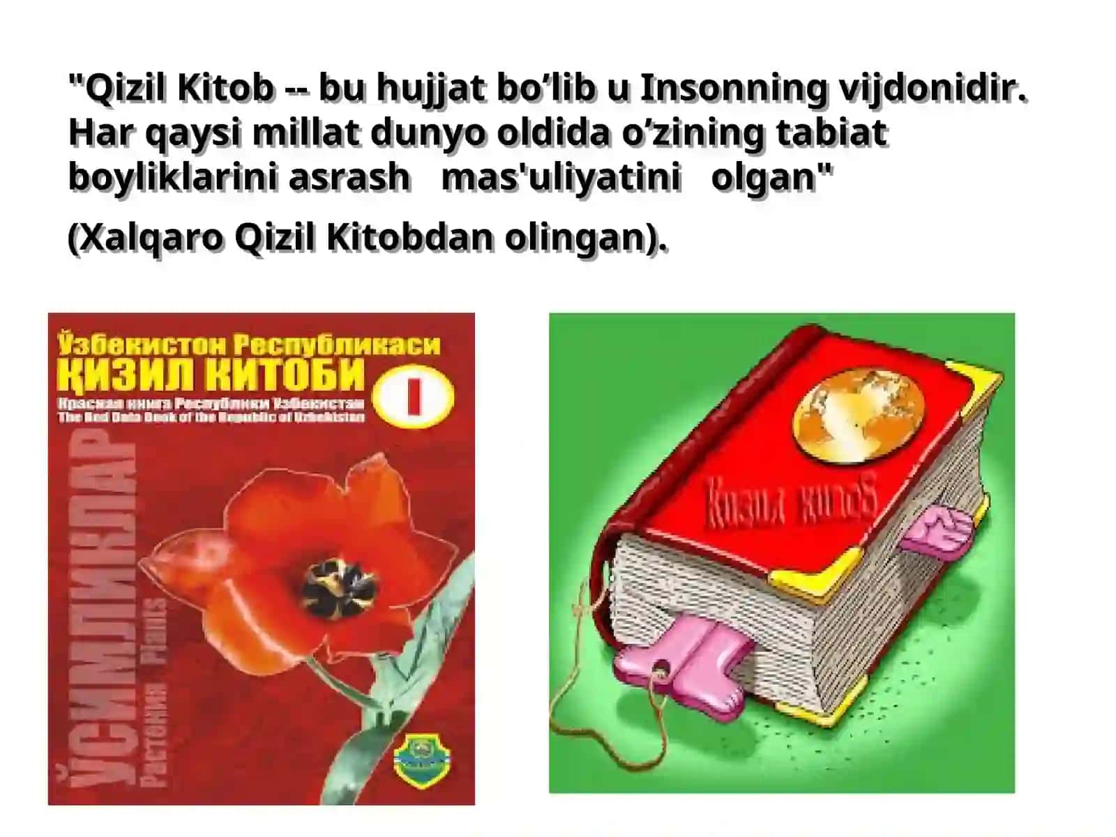 Qizil Kitob 2