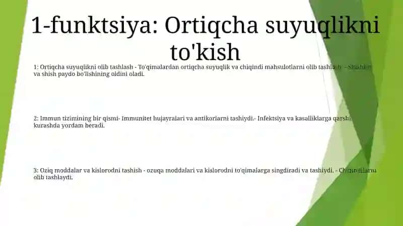 Limfaning Hosil BoʻLishi Tarkibi Vazifalari 2