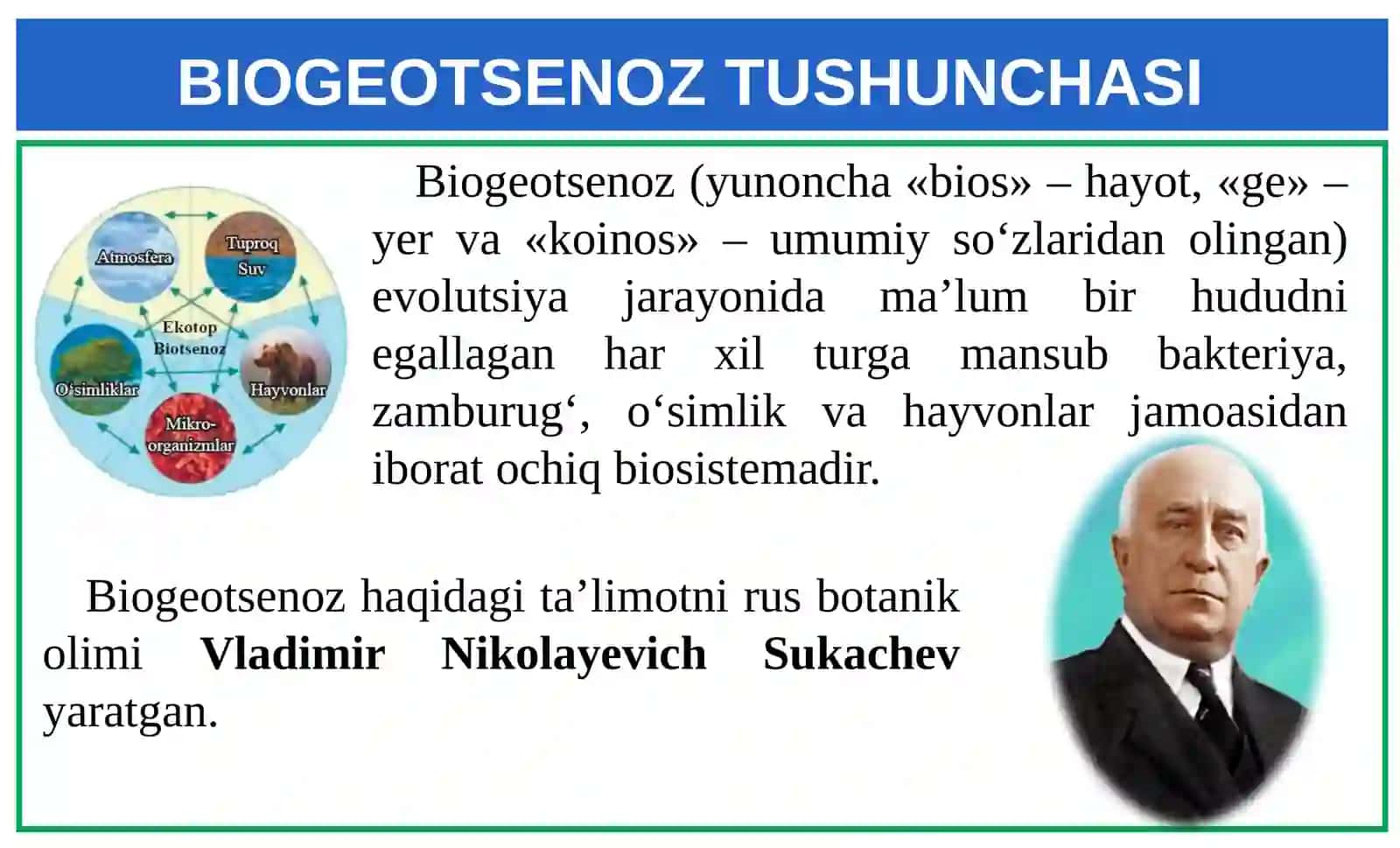 Hayotning ekosistemalar darajasi xususiyatlari. Biogeotsenoz 2