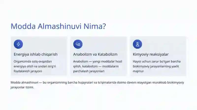 Modda Almashinuvi 2