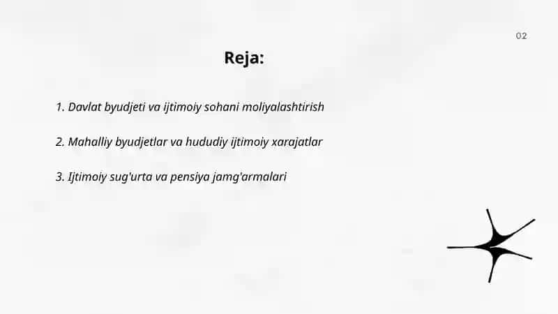 Ijtimoiy sohani moliyalashtirish manbalari 2