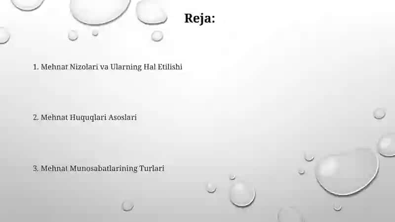 Mehnat Nizolari va Ularning Hal Etilishi 2