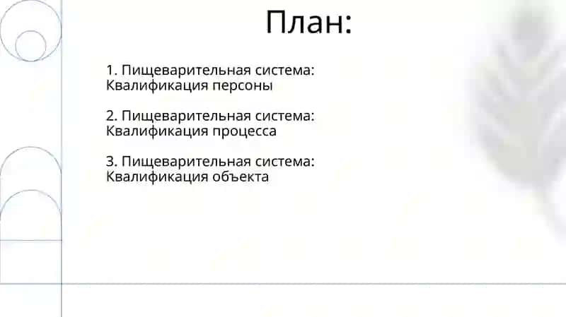 Пищеварительная система 2