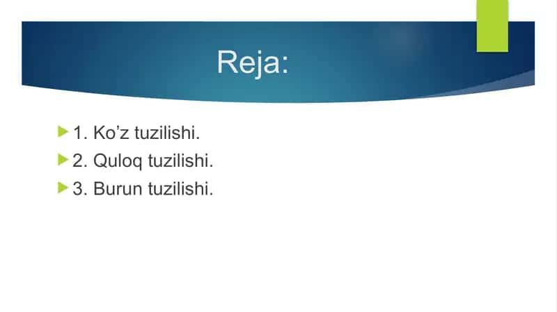 Ko’z, quloq, burun tuzilishi. 2