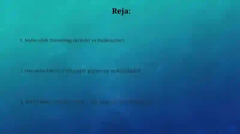 Nafas olish tizimi 2
