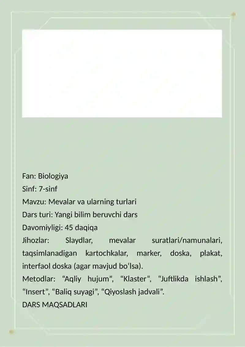 Meva. Dars ishlanma 2