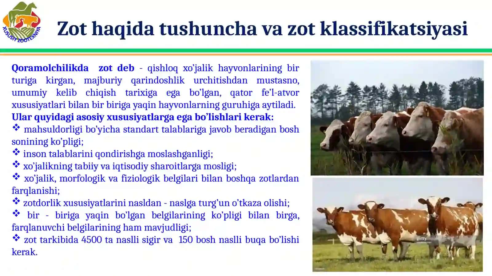 Qoramolchilik. Qoramollarni klassifikatsiyasi, biologik xususiyatlari va zotlari 2