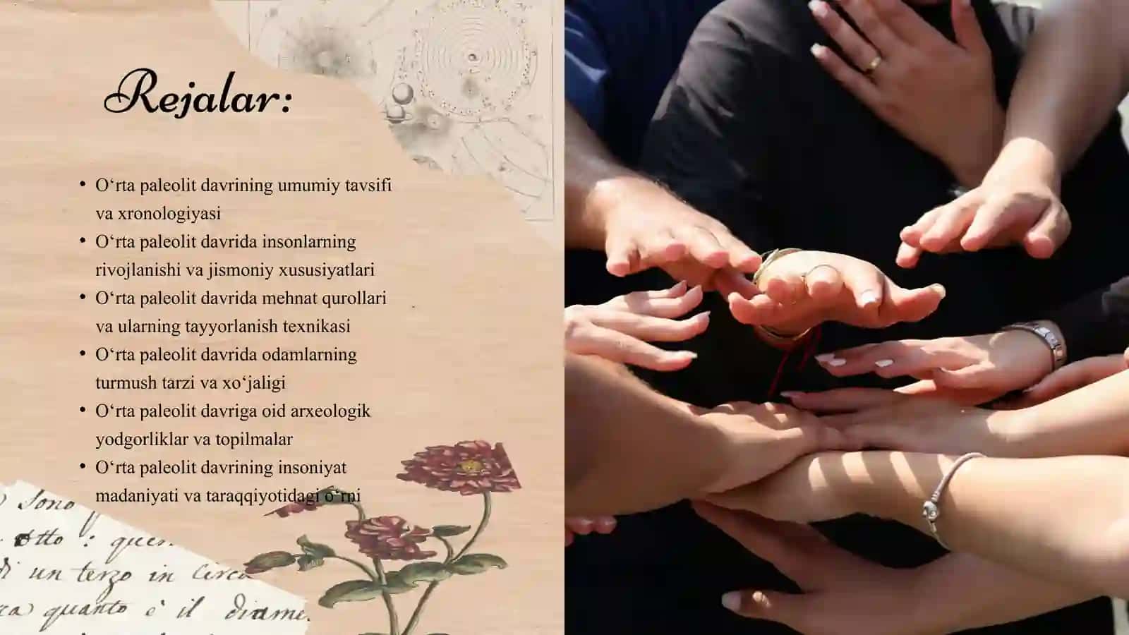 O‘rta paleolit davri arxeologiyasi 2