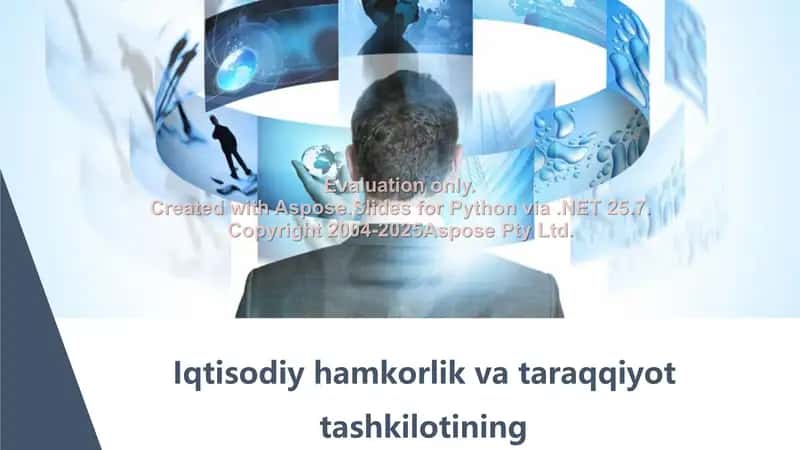 IHTT hujjatidagi asosiy tamoyillar 2