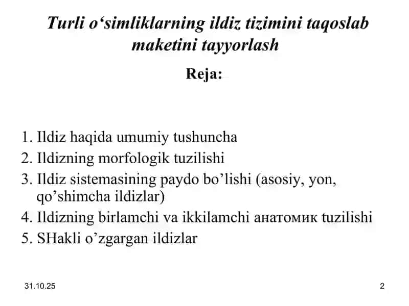 TURLI O‘SIMLIKLARNING ILDIZ TIZIMINI TAQOSLAB MAKETINI TAYYORLASH 2